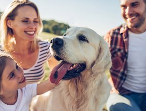 outdoor family photo of yellow labrador retriever smiling with tongue out in between mother in white shirt with thin black stripes next to young daughter with brown hair smiling petting dog and father with beard while wearing red and blue flannel and white shirt and jeans